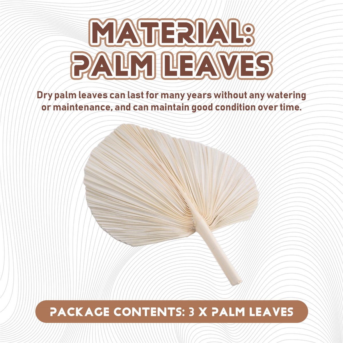 Palm Leaf Dried - Qualitative Large White Dried Palm Leaves