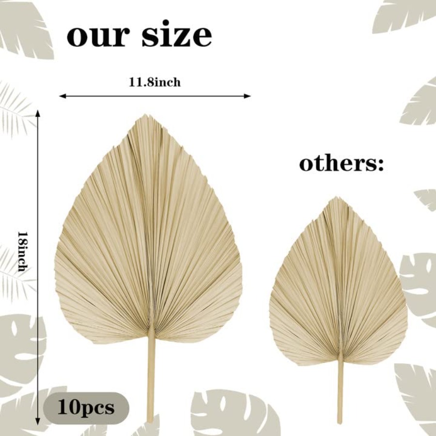 10 Large Bulk Boho Dried Palm  - Palm Leaf Dried reseña y precio
