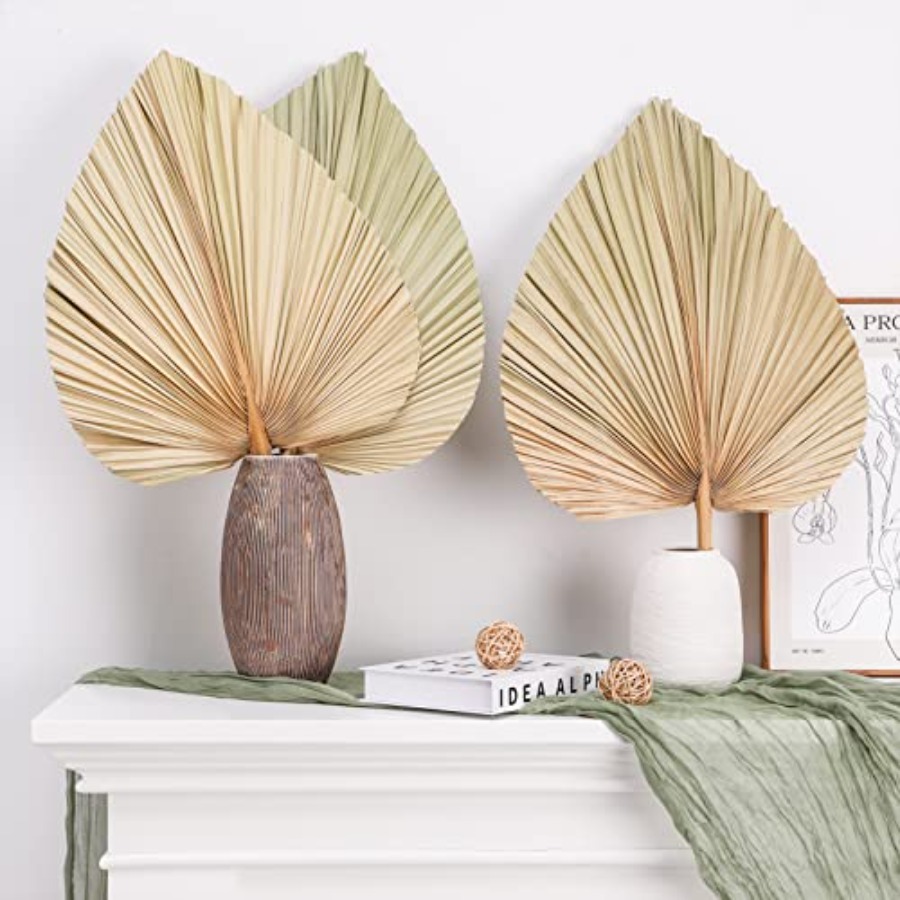 10 Large Bulk Boho Dried Palm  - Palm Leaf Dried reseña y precio