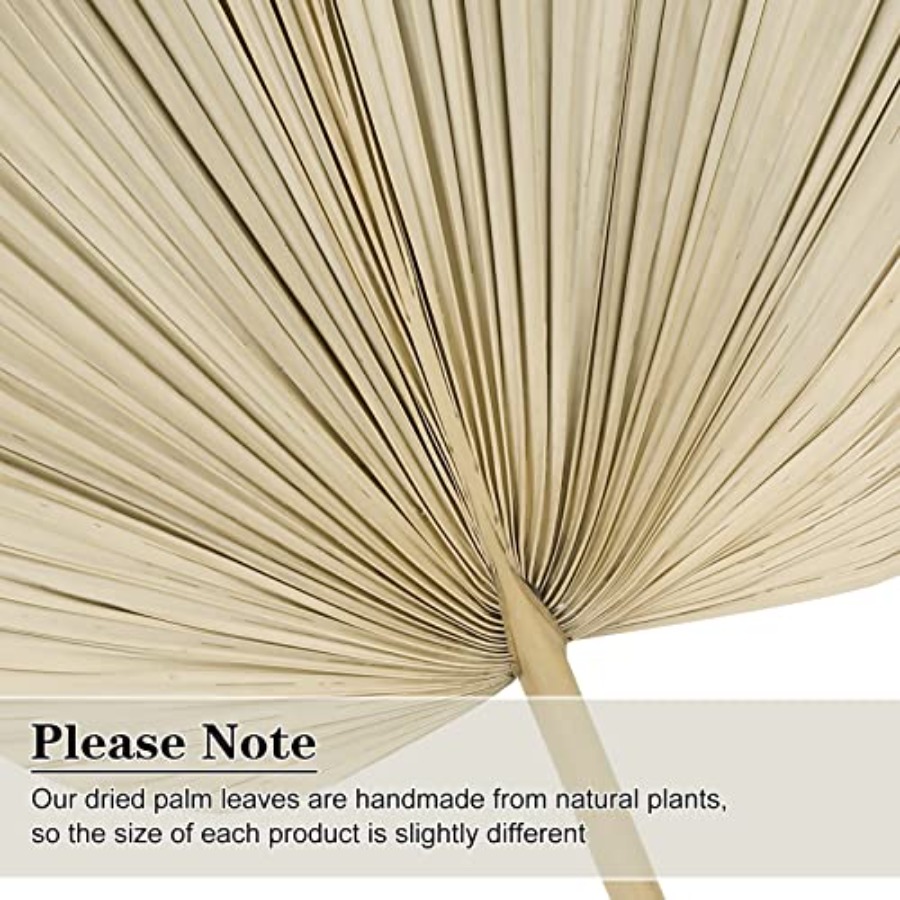 10 Large Bulk Boho Dried Palm  - Palm Leaf Dried reseña y precio