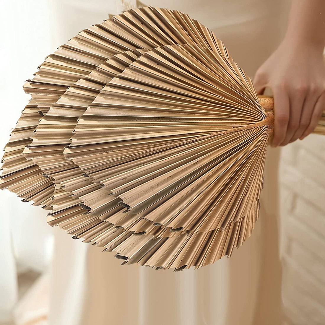 5Pcs Natural Dried Palm Leaves - Palm Leaf Dried reseña y precio