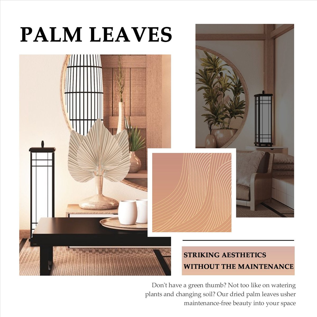 NOCM Dried Palm Leaves Room De - Palm Leaf Dried reseña y precio