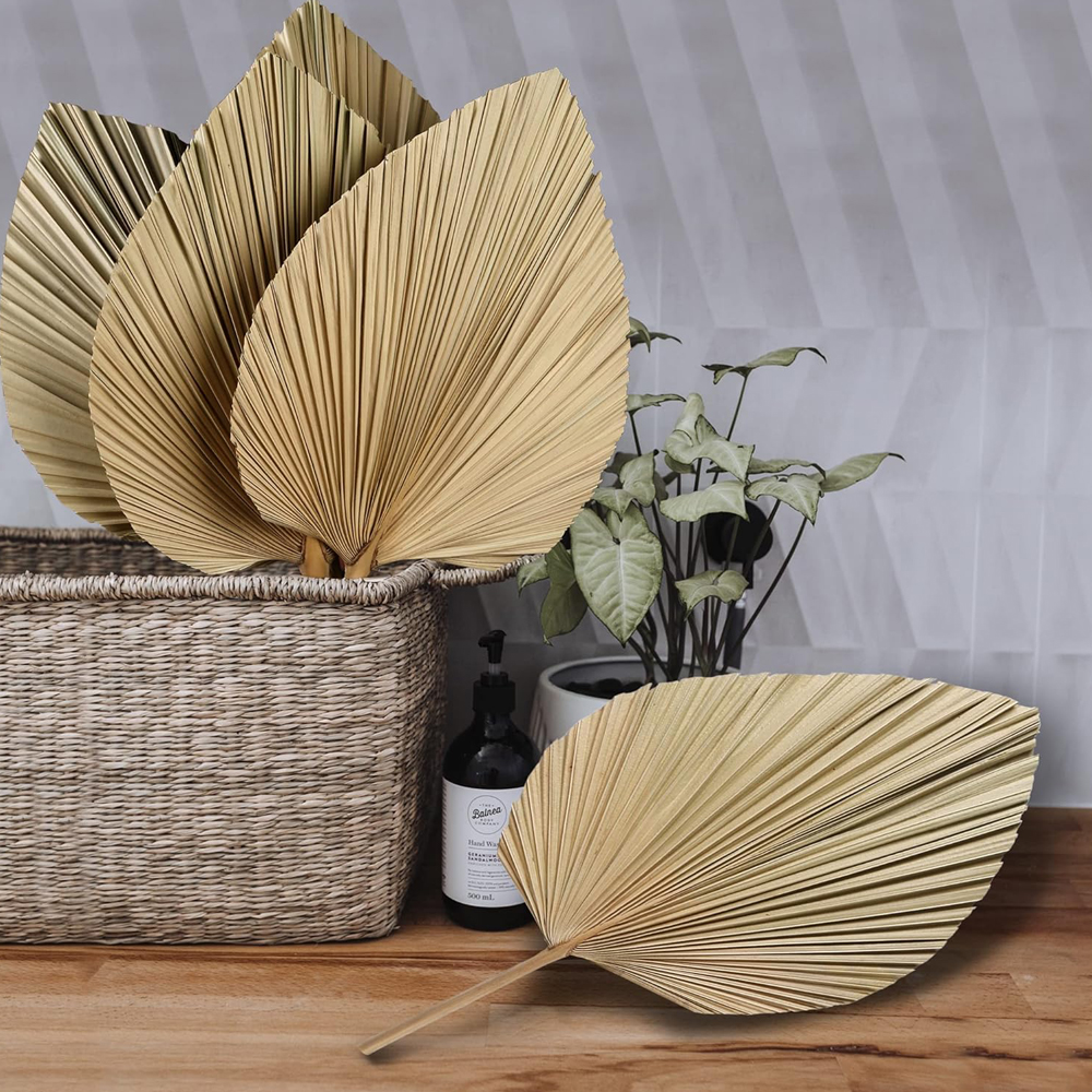 Dried Palm Leaves Boho Palm Le - Palm Leaf Dried reseña y precio