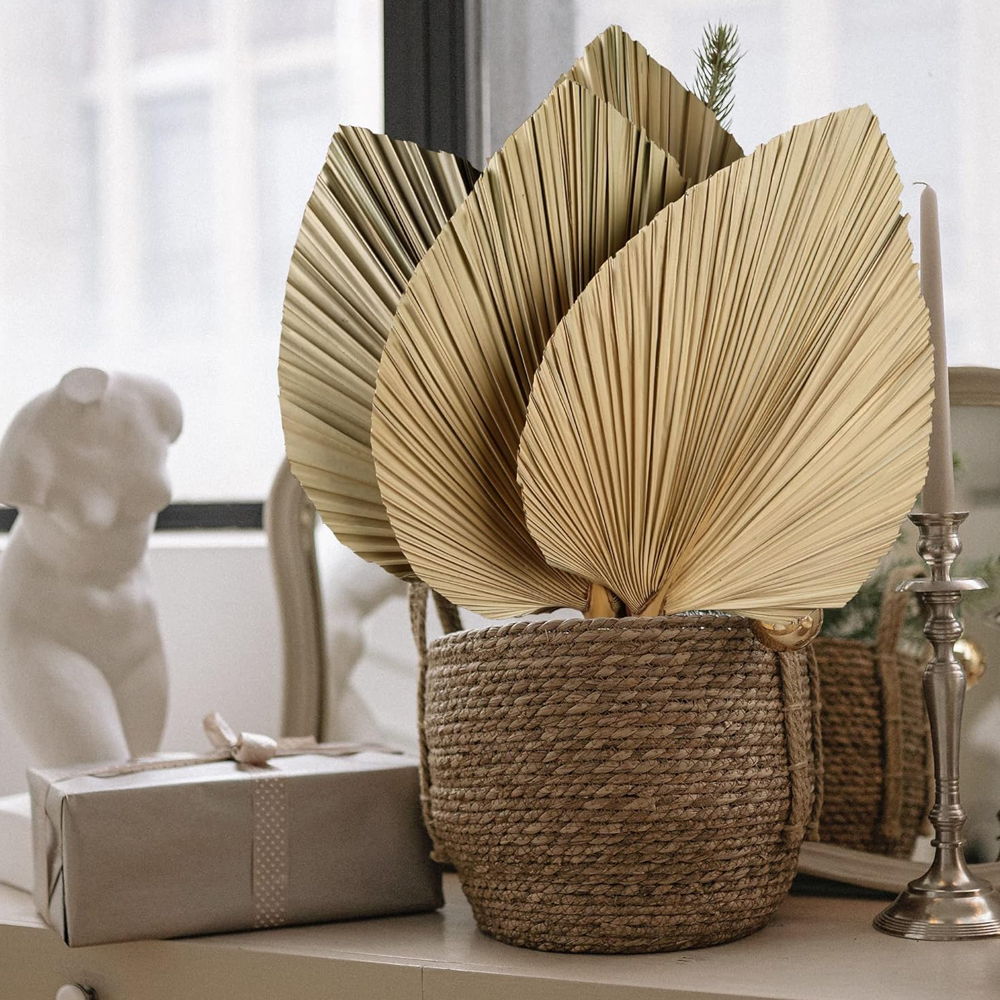 Dried Palm Leaves Boho Palm Le - Palm Leaf Dried reseña y precio