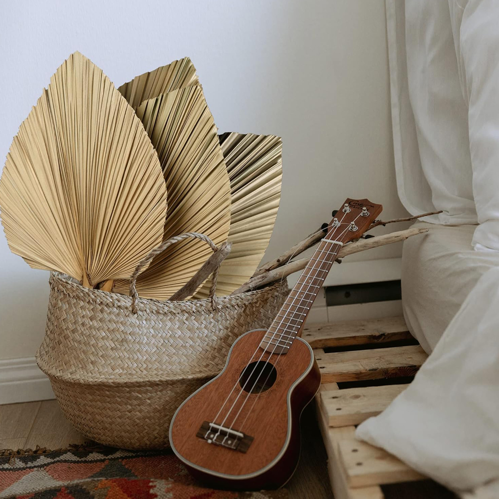 Dried Palm Leaves Boho Palm Le - Palm Leaf Dried reseña y precio