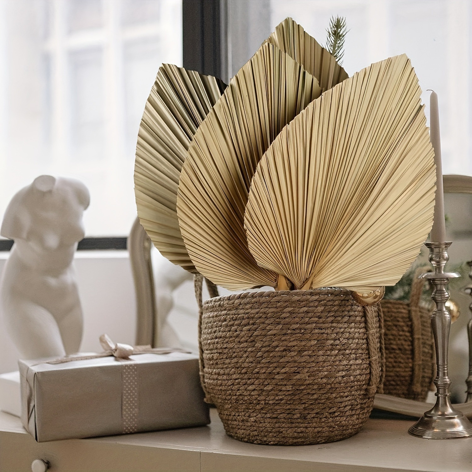 3 PCS Natural Dried Palm Leave - Palm Leaf Dried reseña y precio