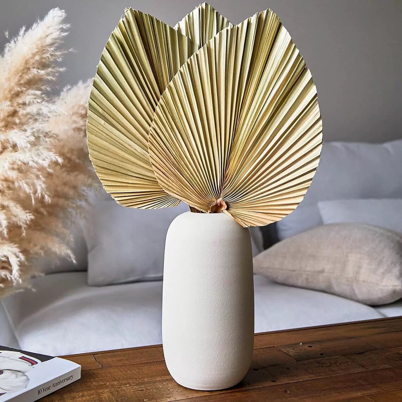 3 PCS Natural Dried Palm Leave - Palm Leaf Dried reseña y precio