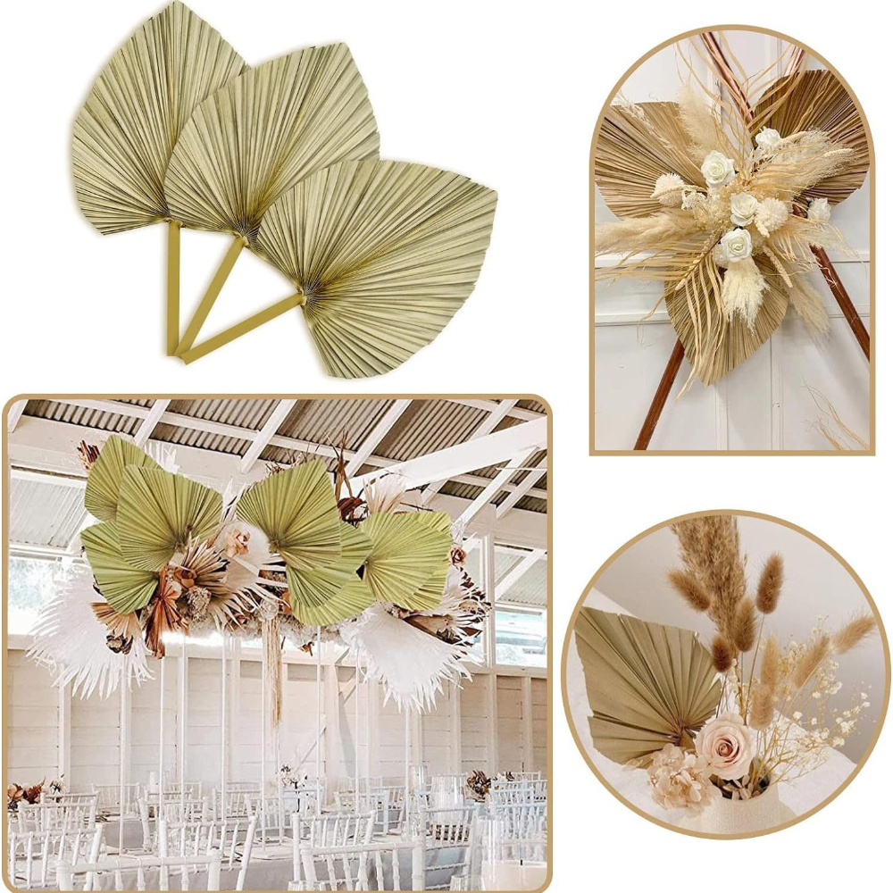 3 PCS Natural Dried Palm Leave - Palm Leaf Dried reseña y precio