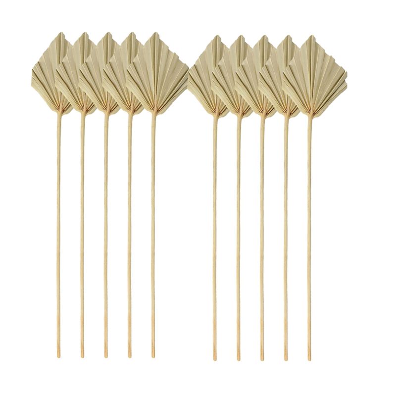 TFORU-Boho Dried Palm Spears S - Palm Leaf Dried reseña y precio