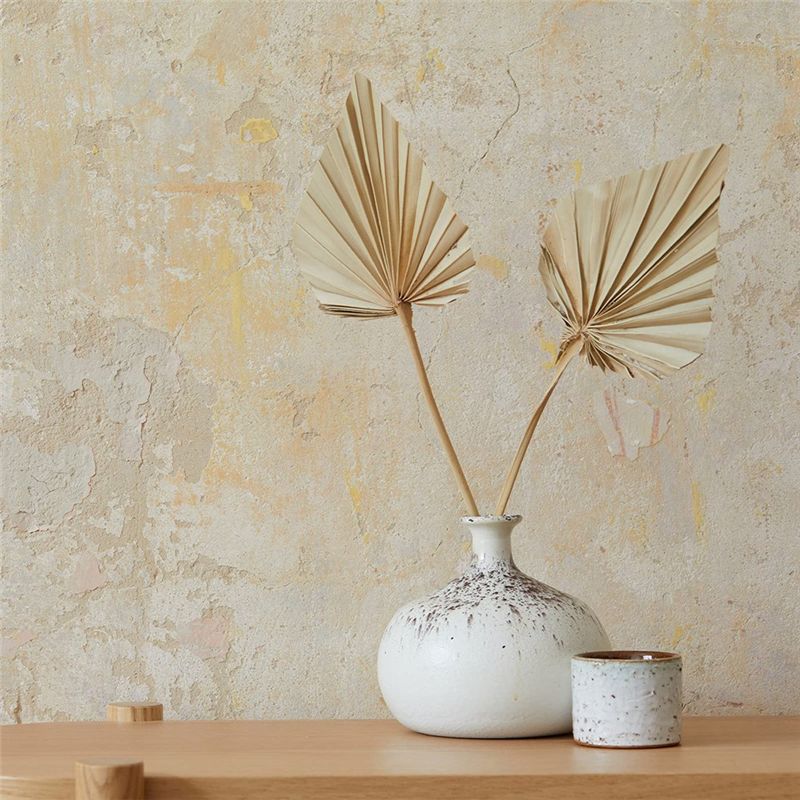 TFORU-Boho Dried Palm Spears S - Palm Leaf Dried reseña y precio