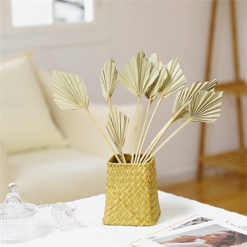 TFORU-Boho Dried Palm Spears S - Palm Leaf Dried reseña y precio