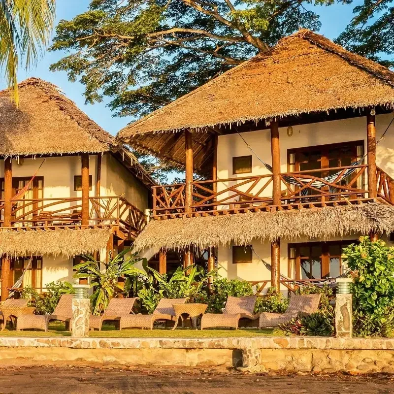 Thatch Grass Palm Thatch Rolls - Palm Leaf Dried reseña y precio