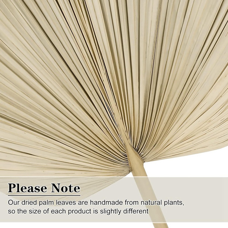 New 6PCS Dried Palm Leaves Nat - Palm Leaf Dried reseña y precio