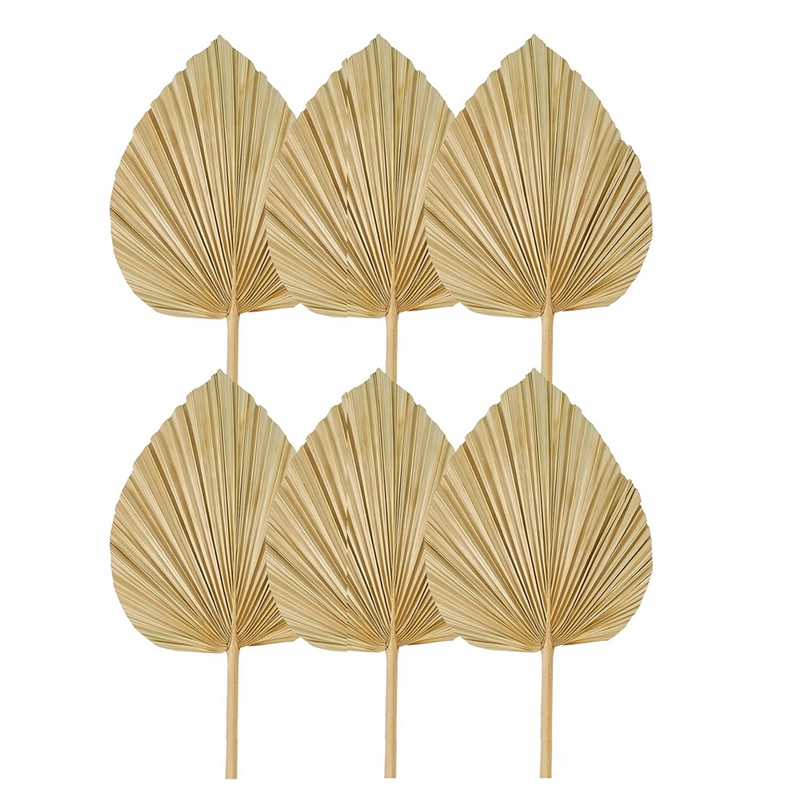 New 6PCS Dried Palm Leaves Nat - Palm Leaf Dried reseña y precio