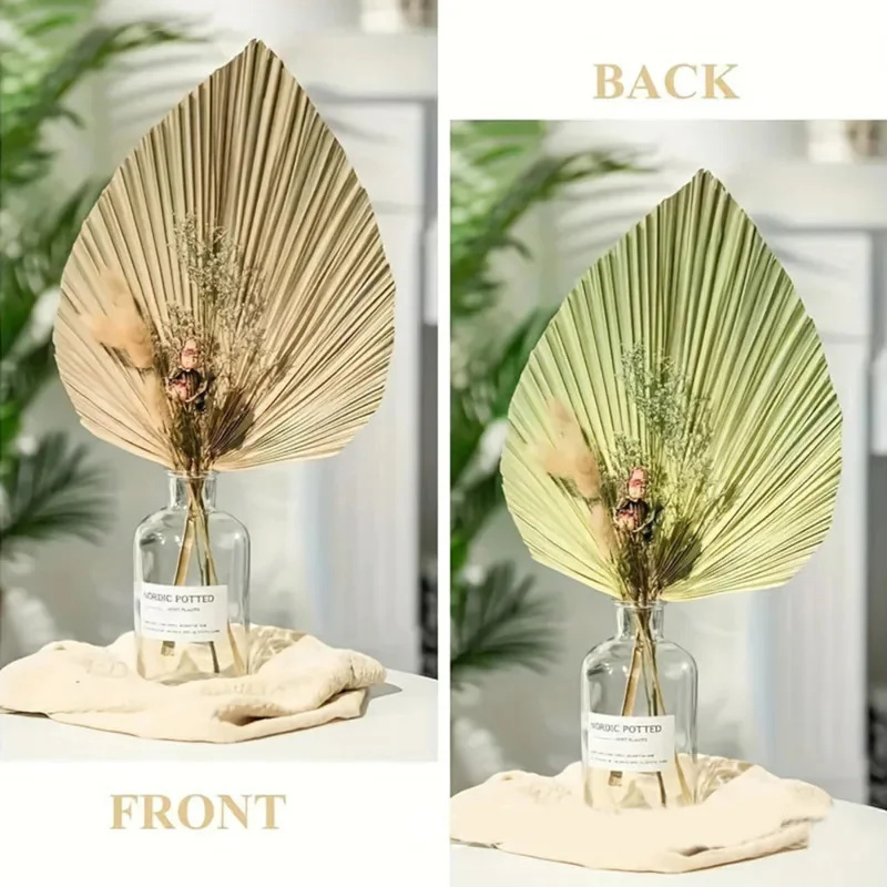 Mini Dried Palm Leaves – Tropi - Palm Leaf Dried reseña y precio