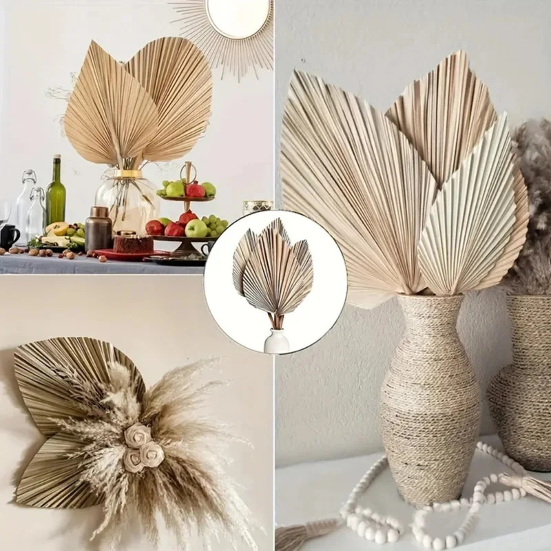 Mini Dried Palm Leaves – Tropi - Palm Leaf Dried reseña y precio