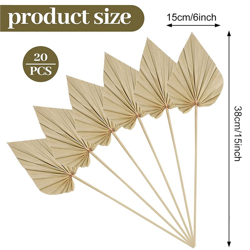 【ORNAMENT】80Pcs Boho Dried Pal - Palm Leaf Dried reseña y precio